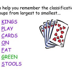 Kings play cards on fat green stools