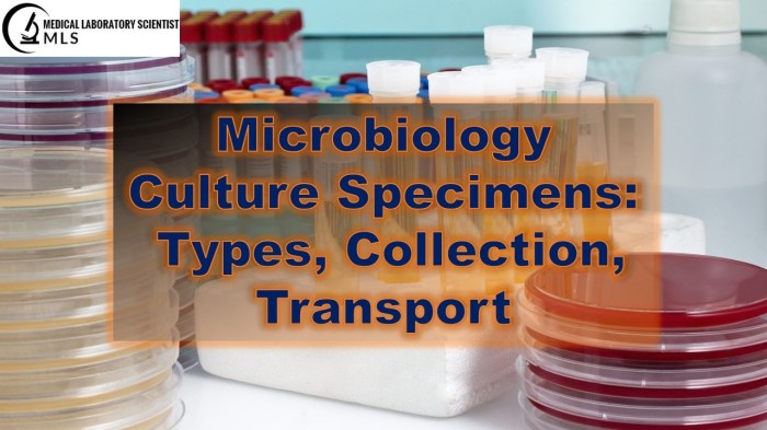 Types of specimens in microbiology ppt