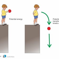 Potential energy kinetic energy worksheet