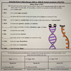 Amoeba sisters video recap: dna replication