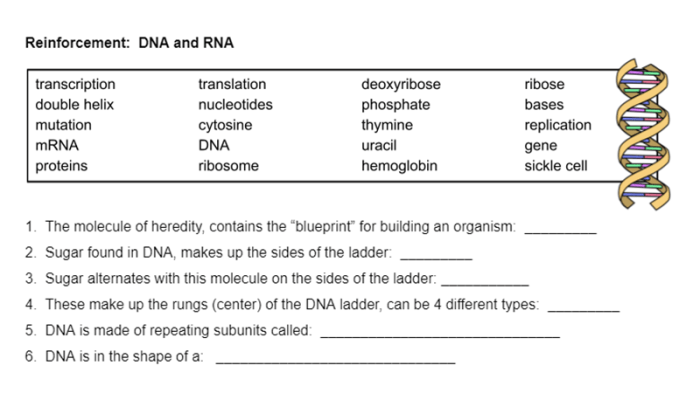 Biology cell translation dna steps transcription information binding protein cells dissertation book ap chemistry ziyaret et weebly