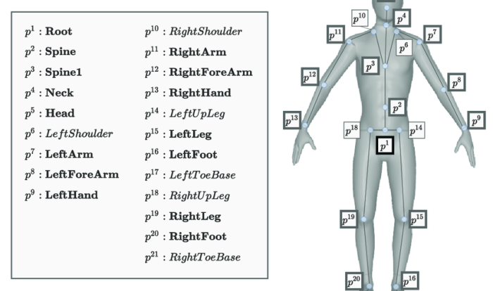 Figure 5 13 is a diagram of the articulated skeleton